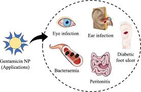 Image result for Gentamicin