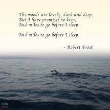 Robert Frost Stopping By Woods On A Snowy Evening The Woods Are Lovely Dark And Deep But I Have Promises To Keep And Miles To Go Before I Sleep And Miles To Go Before I Sleep Robert Frost Perspektive