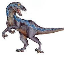 Blue dinosaur coloring pages jurassic world 37 printable coloring. Some Quick Fan Art Of Blue From Jurassic World Jurassic World Dinosaurs Blue Jurassic World Jurassic Park World