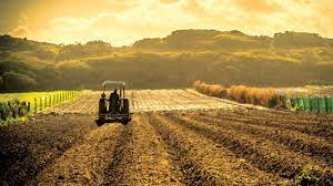 Câți metri pătrați pe hectar sunt ușor de numărat. CaÈ›i Metri Are Un Hectar Un Pogon Sau Un Ar Newmoney