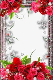 Rose Border Stock Photos Flower Frame Flower Phone Wallpaper Flower Wallpaper