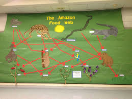 Biotic Factors In The Amazon Rainforest Amazon Rainforest Displaying The Food Web Part Of A Thematic Unit Created By My Ell Students Rainforest Food Web Geography Classroom Thematic Units