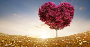 Sejak kecil tanda nabi yusuf akan menjadi seorang yang besar sudah muncul. Surat Yusuf Untuk Memikat Wanita