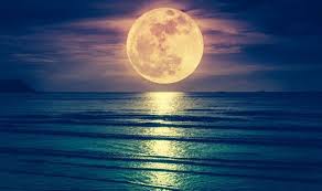 You feel a sense of duty when it comes to the protection and wellbeing of the cancer moon sign is a very responsible and devoted person. Blue Moon Spiritual Meaning How Will Halloween S Hunter S Moon Affect Your Horoscope Express Co Uk