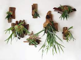 17 Incredible Houseplants You Need Right Now Plants Ferns Care Artificial Plants