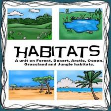 Habitats A Unit On Forest Desert Arctic Ocean And Jungle Habitats Primary Science Habitats Science Classroom