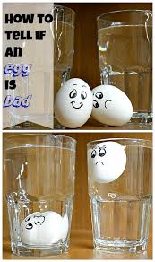 how to tell if eggs are bad egg test