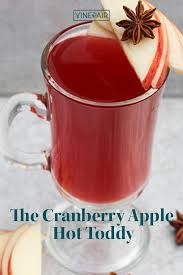 The Cranberry Apple Hot Toddy Recipe Recipe Hot Toddies Recipe Toddy Recipe Hot Toddy Cocktail
