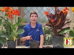 Pin On Gardening