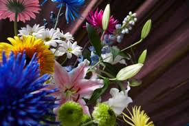 Cut flowers in a vase; How To Care For Flowers In Oasis Flower Arrangements Diy Silk Flower Arrangements Flower Arrangements Diy