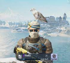Finally Got Companion Today Falcon How Many Of You Get This Companion Comment Down New Best Wallpaper Best Wallpaper Hd Cartoon