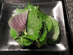 It is high in iron content and rich in calcium, vitamins and minerals. Korean Perilla Leaves Global Granary
