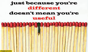 Just Because You Re Different Doesn T Mean You Re Useful Burnt Match Starecat Com
