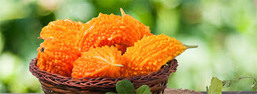 Image result for Momordica repens