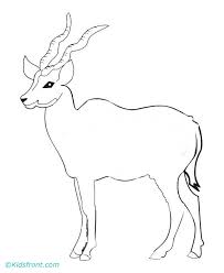 Signup for free weekly drawing tutorials. Springbok Coloring Pages Download And Print For Free