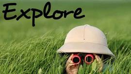 Explore the Hollow Weekend Camp Over