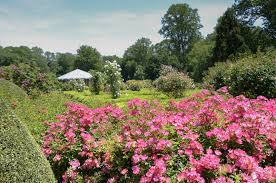 Check spelling or type a new query. Must See Gardens In Nj Nj Family
