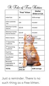 During kitten season, in spring where i live, a kitten from the shelter costs $120, $60 if they have a special. Feline Leukemia Vaccine Cost Online