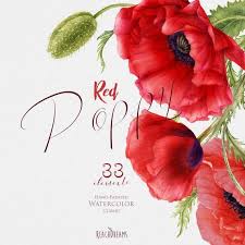 Watercolor Red Poppy Handpainted Elements Poppies Flowers Wedding Invitations Boho Floral Frame Clipart Greeting Card Diy Clip Art Watercolor Poppies Poppy Flower Watercolor Red