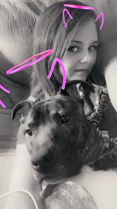 Lost female pitbulls in Canton near Malone College. Brindle and red/white