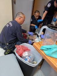 Husband's sudden death from breathing problems