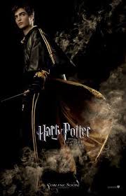 A page for describing ymmv: Harry Potter And The Goblet Of Fire Film In 2020 Harry Potter Goblet Harry Potter Wiki Potter