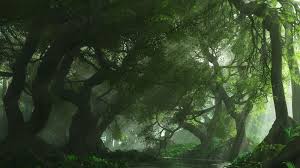 3d Creation Foret 1920x1080 3d Creation Foret 1920x1080 Jpg Fond D Ecran Foret Paysage Amenagement Jardin