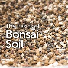 Buy bonsai soil and get the best deals at the lowest prices on ebay! The Basics Of Bonsai Soil Basic Bonsai