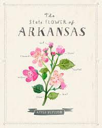 It is a branching shrub with clusters of white. Arkansas State Flower Print The Apple Blossom Etsy Vintage Flower Tattoo Apple Blossom Tattoos Apple Blossom