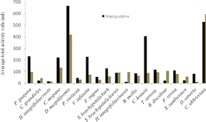 Image result for Helinus spartioides