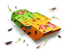 Find the top pantry moth traps with the msn buying guides >> compare products and brands by quality, popularity and pricing >> updated 2021. Shop Trending 10 Set Pest Trap To Trap Large And Small Cockroach And Other Insects From Kitchen Corners Bedroom And Cupboard Online