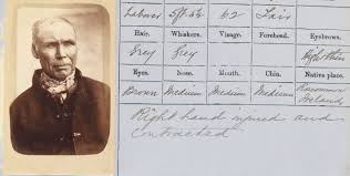 Handyman services including electrical work, siding repair, painting, staining, tiling, pressure washing, vent repair, plumbing, leaks. Menschen Des 20 Jahrhunderts Art Blart