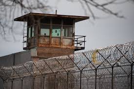 We offer one of the largest selections of fence styles and gate security entry . Cook County Mulls Revamp Of Ballooning Electronic Monitoring Program As Criticism Mounts
