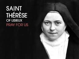 In trial or difficulty I have recourse to Mother Mary, whose glance alone  is enough to dissipate every fear." -St. Therese of Lisieux.