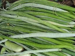 Watch how to make potlakaya stuffed curry / snake gourd stuffed curry. à°ª à°Ÿ à°²à°• à°¯ Meaning In English Shabdkosh