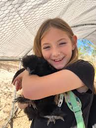 Solar light for baby chickens in coop