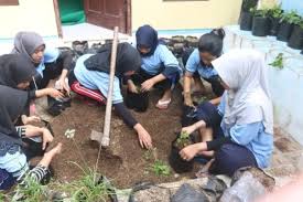 Jun 30, 2021 · selain itu ada tanaman perkebunan seperti karet dan kopi. Kkn Um Hidup Sehat Melalui Pemanfaatan Toga Tanaman Obat Keluarga Dan Sayuran Di Desa Sumber Blitar Kompasiana Com