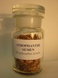 Image result for Strophanthus eminii