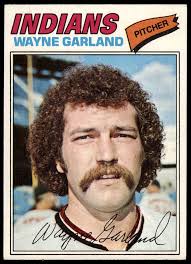 Amazon.com: 1977 Topps # 33 Wayne Garland Cleveland Indians (Baseball Card)  EX Indians : Collectibles & Fine Art