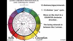 12 Cell Salts Vid 2 Of 3 The Inez Perry Astrological Composition Chart