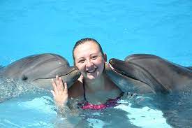Nuotare Con I Delfini A Sharm El Sheikh