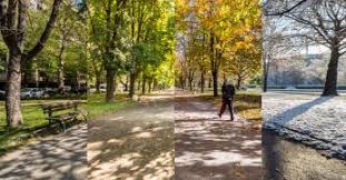 L'hôtel restaurant l'auberge la fontaine aux bretons vous accueille à pornic en loire atlantique (44). Previsions Meteo France Site Officiel De Meteo France Previsions Gratuites A 15 Jours Sur La France Et Sur Le Monde