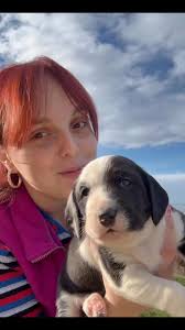 Kad te jedan mali kerić teleportuje u detinjstvo 🐶