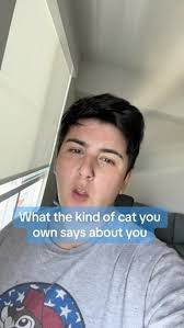 What kind of cat do you have?!? 🐱🐈🐈‍⬛, #dog #dogs #dogsofig #reels #cat  #cats #catsofig #dogstagram #catstagram #pet #pets #petsofinstagram  #petsagram #vet #vettechsofinstagram #vettechs #vettech ...