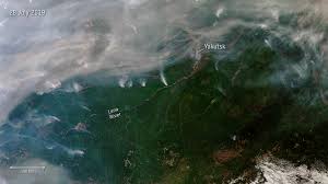 As a member of the southern group of state foresters, the forest service is. Esa Siberian Wildfires