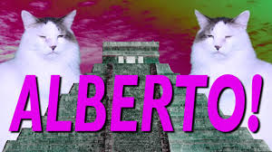 … esta entrada se publicó en amigos y está etiquetada con amigos, compartir, feliz cumpleaños, memes en agosto 3, 2020 por cumpleaños club. Feliz Cumpleanos Alberto Cancion Comica De Cumpleanos Youtube