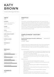 22 Food And Beverage Attendant Resume Examples Word Pdf 2020
