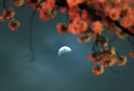 It's a supermoon as it will be closest to the earth, and it's size will be bigger than usual, and it's. Ncf6jd1pchoz9m