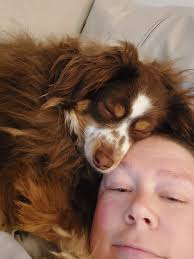 Charley and his friend Mulligan