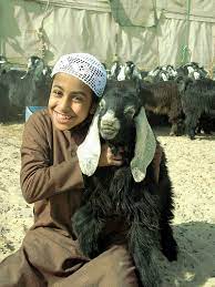 فديت عيال البدو صور عالم حواء